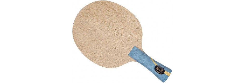 DHS Tischtennis - TenCorp®